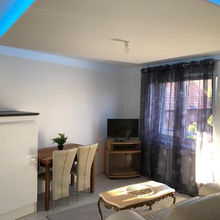 Appartement Willa Chez Willi Niederschaeffolsheim Екстериор снимка