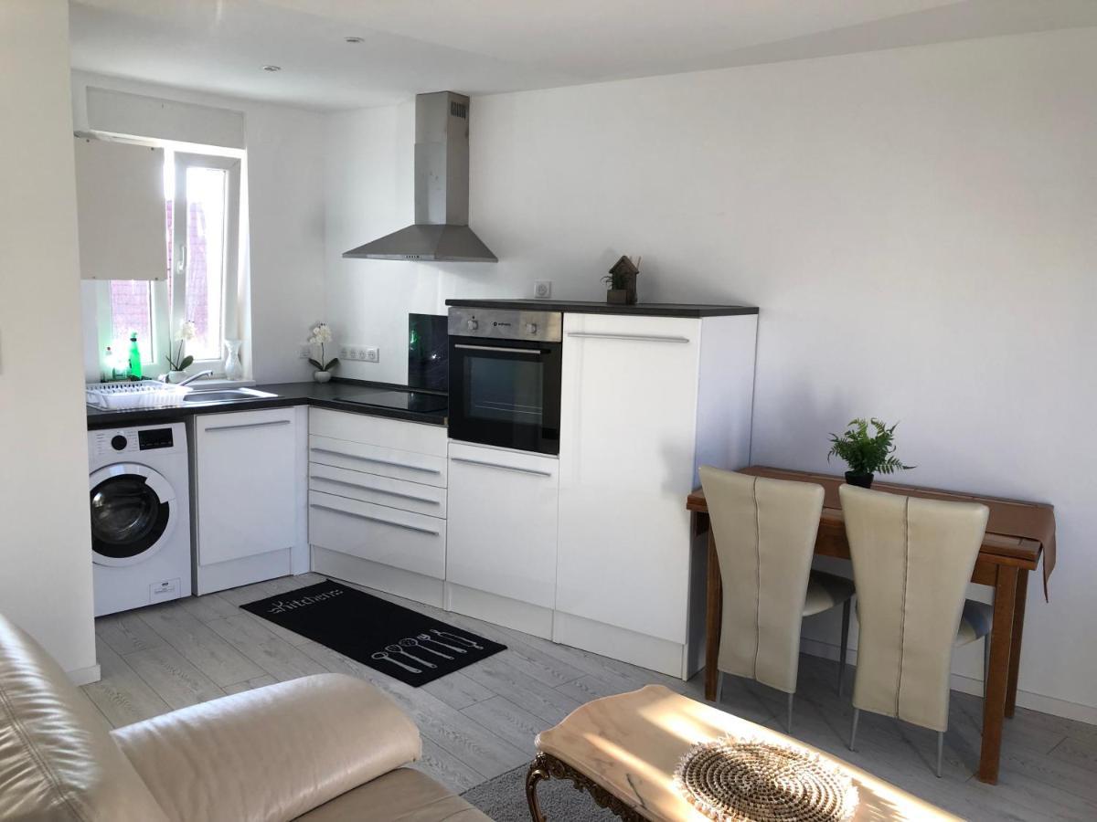 Appartement Willa Chez Willi Niederschaeffolsheim Екстериор снимка